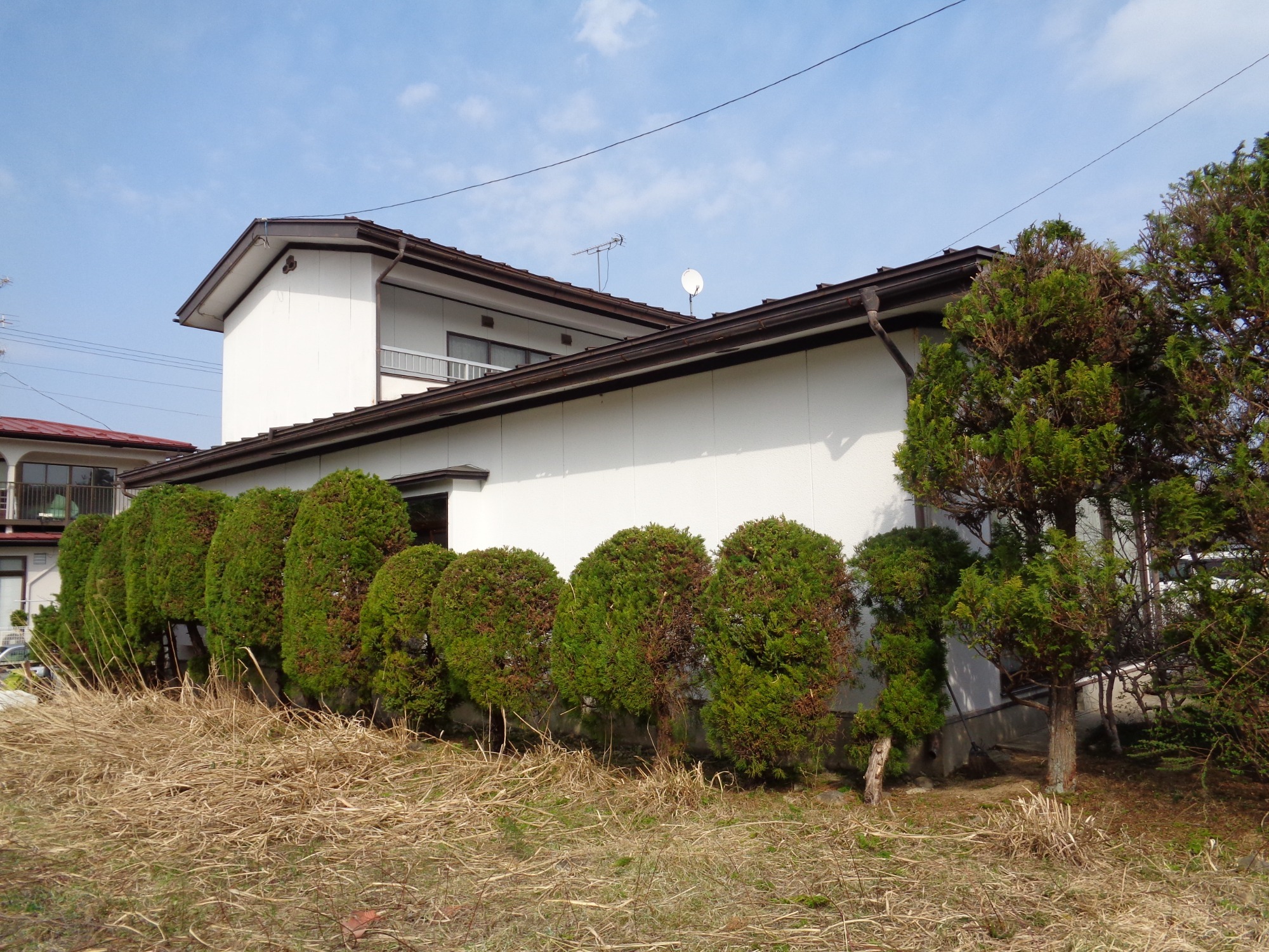 北上市　庭木剪定作業