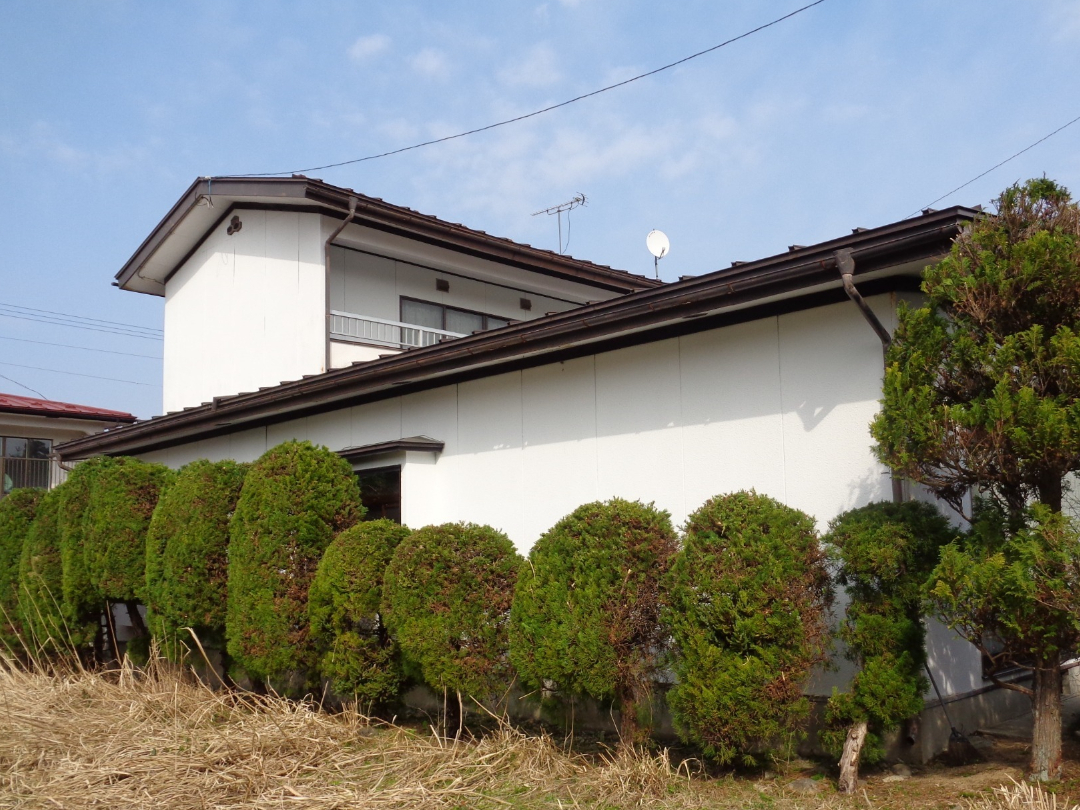 庭木剪定施工事例